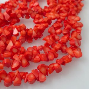 Koral ~14mm×10mm